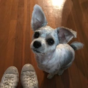 Meet your Posher, Ryan